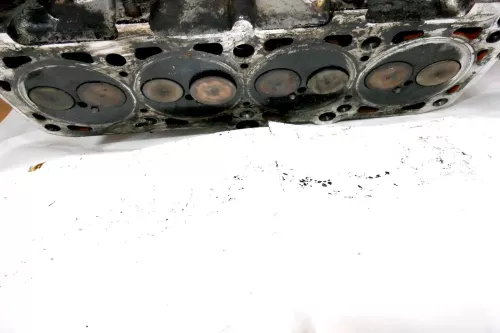 VW Passat 3B A4 B5 Zylinderkopf mit Ventilen 1,9 TDI 81kw 110PS AVG / AFN Motor (101240)