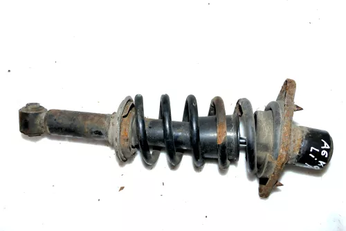 Audi A6 4B Quattro Allrad Federbein Stoßdämpfer Feder hinten links/rechts