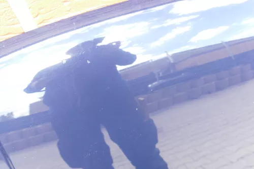 VW Golf 4 Motorhaube Haube Klappe vorne blau LA5G (105325)