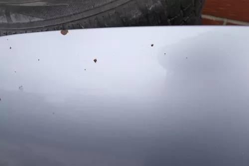 VW Passat 3BG Motorhaube Klappe vorne vorn Haube silber LA7W (107671)