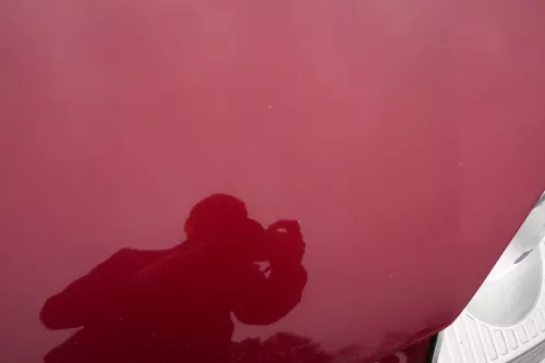 VW Golf 5 V 1K5 Jetta 1K2 Motorhaube Haube Klappe vorne LA3W braun wein-rot (109542)