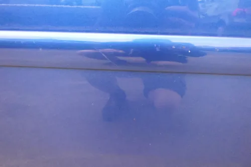 VW Touran 1T 1T3 Tür vorne rechts Beifahrertür blau LC5C- ohne Anbauteile (111852)