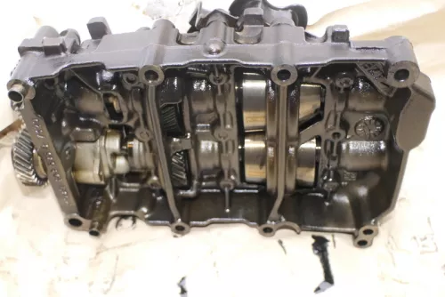 VW Passat 3C Ausgleichwellenmodul Ölpumpe 2.0 TDI 103kw 140PS BMR / BUZ Stift ne (111946)