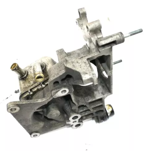 VW Passat 3BG Audi A4 A6 Ölkühler Halter 2,5 TDI Motor 150PS 110kw 059145169 (113451)