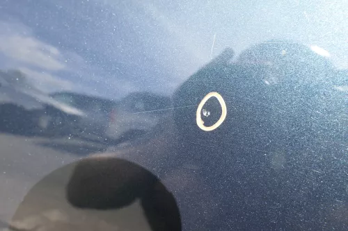 VW Golf 4 Bora Tür hinten links nur Kombi / Variant grün LC6X (116050)