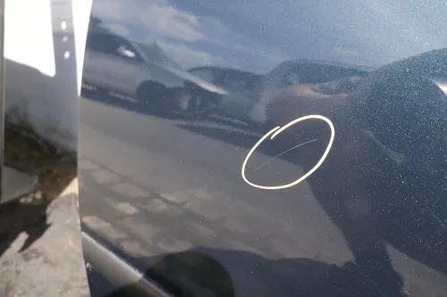 VW Golf 4 Bora Tür hinten links nur Kombi / Variant grün LC6X (116050)
