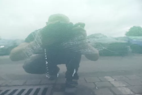 VW Golf 4 Limousine Tür Scheibe hinten links grün LC6M (KEINkombi) (116226)