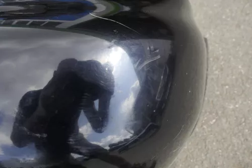 Audi A4 B5 Kombi Avant Stoßstange hinten Heckstoßstange blau LZ5L bis ca.Bj.1999 (116438)