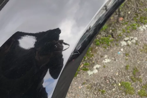 VW Passat 3C Kotflügel vorne links schwarz L041 3C0821021 original - Delle (118142)