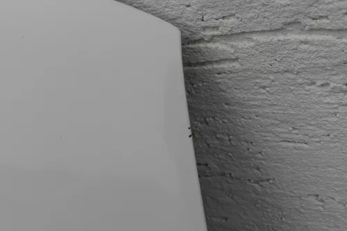 VW Polo 6N Motorhaube Klappe vorn vorne Frontklappe Haube weiß LB9A (118218)