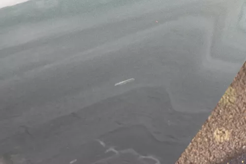 Skoda Fabia 6Y Limousine Stufenheck Tür hinten links grün 9572 (118270)