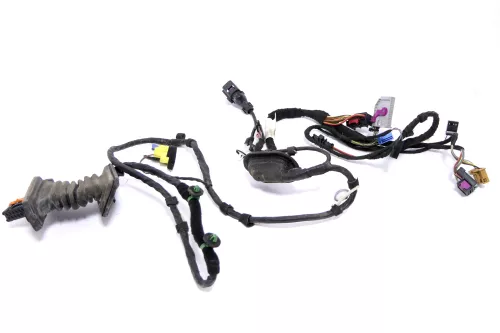 VW Golf Plus Kabelbaum Tür Türkabelbaum ZV vorne links 5M1971120AF (118724)