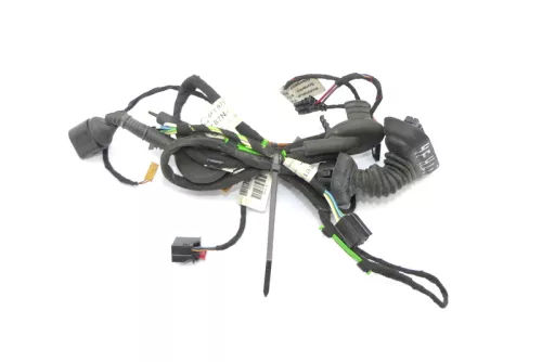 Audi A6 4F Kabelbaum Tür Türkabelbaum ZV hinten links 4F1971693G