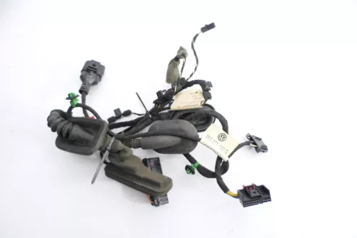 VW Caddy 2K Kabelbaum Tür Türkabelbaum ZV vorne links 2K0971120Q