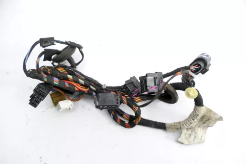 Skoda Fabia 6Y Kabelbaum Tür Türkabelbaum ZV vorne Rechts Leitungssatz 6q0971121