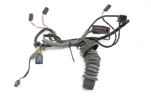 VW Sharan 7M Kabelbaum Tür Türkabelbaum ZV hinten rechts oder links 1998