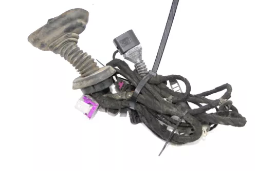 Audi 8E B7 Kabelbaum Tür Türkabelbaum ZV vorne rechts 8E1971035DJ