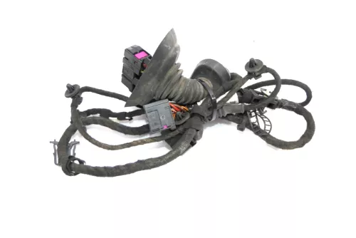 Audi 8E B6 Kabelbaum Tür Türkabelbaum ZV vorne links 8E1971029B 8E1971029C