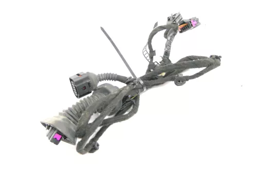 Audi 8E B6 Kabelbaum Tür Türkabelbaum ZV vorne links 8E1971029K 8E1971029N