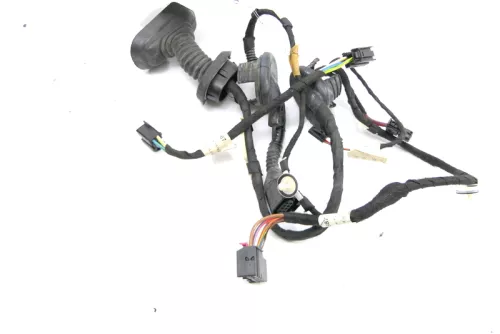 1x Audi A6 4F Kabelbaum Tür Türkabelbaum ZV hinten links / rechts 4F1971687N