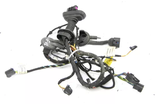 Audi A6 4F Kabelbaum Tür Türkabelbaum ZV vorne links 4F1971029A 4F1971035Q