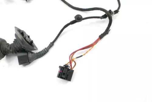 Audi 8E B6 Kabelbaum Tür Türkabelbaum ZV vorne rechts 8E1971029D 8E1971029G (127519)