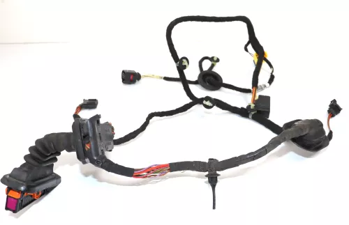 VW Passat 3C Kabelbaum Tür Türkabelbaum ZV vorne rechts Leitungssatz 3C1971121DS