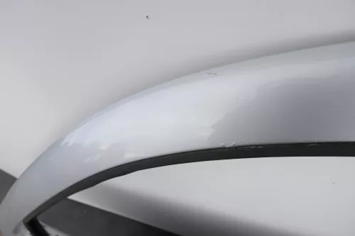 VW Golf 4 Tür vorne links Fahrertür 2/3-Türer silber (128573)