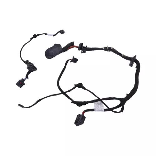 Audi A2 8Z Kabelbaum Tür Türkabelbaum ZV vorne links 8Z0971030C (129262)