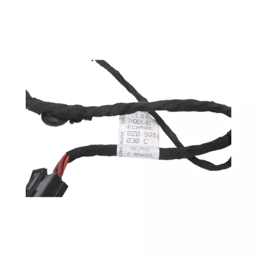 Audi A2 8Z Kabelbaum Tür Türkabelbaum ZV vorne links 8Z0971030C (129262)
