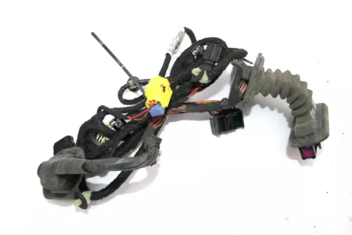 VW Passat 3C Kabelbaum Tür Türkabelbaum ZV vorne links Leitungssatz 3C1971120ES