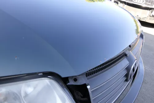 VW Passat 3BG Motorhaube Klappe vorne vorn Haube grün LB6W (129674)