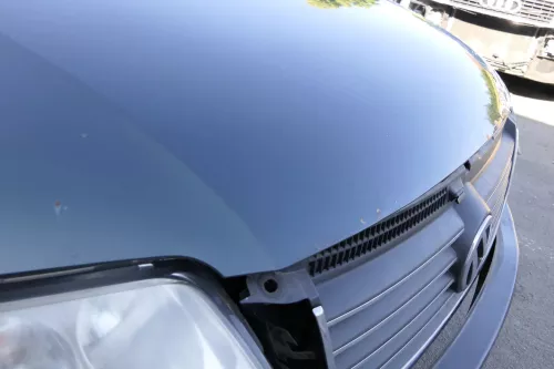 VW Passat 3BG Motorhaube Klappe vorne vorn Haube grün LB6W (129674)