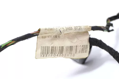 VW Polo 9N3 Kabelbaum Tür Türkabelbaum ZV hinten links Leitungssatz 6Q4970139B (146508)