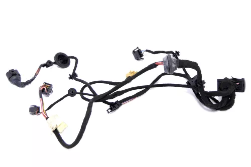 VW Passat 3B Kabelbaum Tür Türkabelbaum ZV vorne links 3B0971120H 3B0971120N (146509)