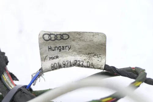 Audi 8D A4 B5 Kabelbaum Tür Türkabelbaum ZV vorne rechts 8D1971807AB (146574)