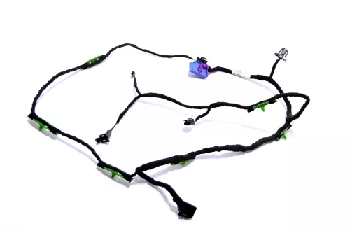 Audi A6 4F Kabelbaum Tür Türkabelbaum ZV vorme links Fahrertür in Türverkleidung