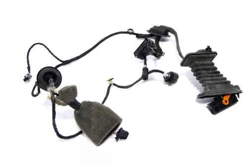 VW Passat 3C Kabelbaum Tür Türkabelbaum ZV hinten rechts 3C4971694FP /FR