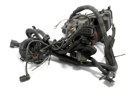 Audi Q7 4L Kabelbaum im Motorraum 4L1971072BL Sicherungskasten (148104)