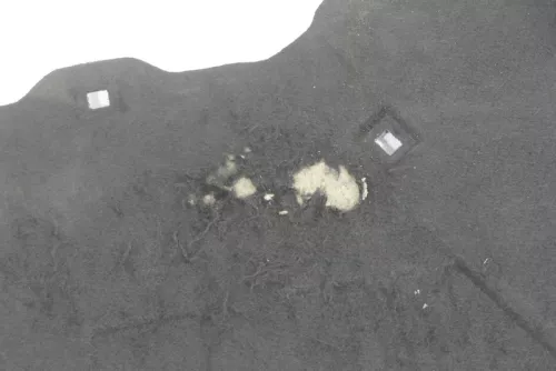 Audi Q5 8R Dämpfung Motorhaube Dämmung Motorhaubendämmung TDI Dämmmatte (148147)