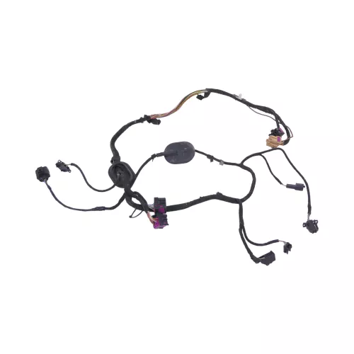 VW T5 Kabelbaum Tür Türkabelbaum ZV vorne links 7H0971035CS (149671)