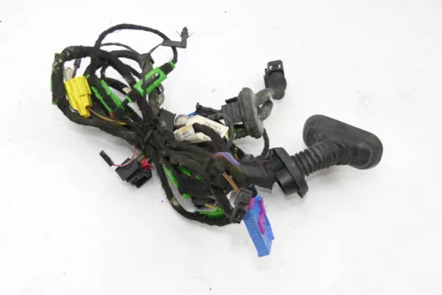 Audi A6 4F Kabelbaum Tür Türkabelbaum ZV vorme links Fahrertür 4F1971029AF (151106)