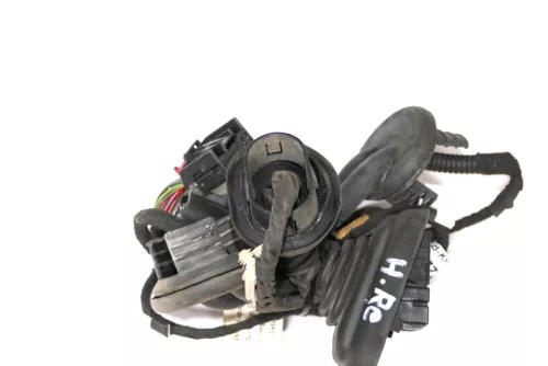 A6 4F Kabelbaum Tür Türkabelbaum ZV hinten links 4F1971687N 4F1971687A (151107)