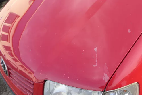 VW Polo 6N2 Motorhaube Haube vorne Klappe rot LP3G (151812)