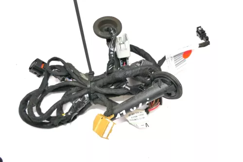 VW Golf 4 Bor Kabelbaum Tür Türkabelbaum ZV vorne links Leitungssatz 1J0971120BS