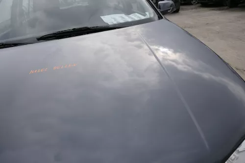 VW Golf 4 Motorhaube Haube Klappe vorne grau LC7V blue anthrazit - Hagel Dellen (155489)