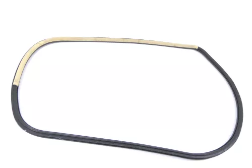 VW Passat 3B 3BG Türdichtung Dichtung Tür vorne rechts Beifahrertür sonnenbeige (155893)
