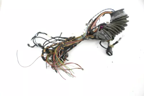 Audi A8 4D Kabelbaum Tür Türkabelbaum ZV hinten links oder rechts 4D0971166B (156397)