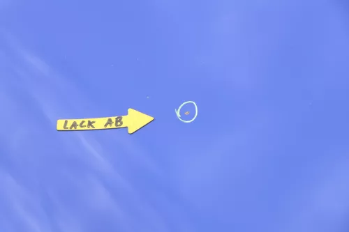 VW Lupo Motorhaube KLappe vorne blau LW5Z jazzblue (156897)