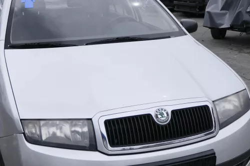 Skoda Fabia 6Y Motorhaube KLappe vorne silber grau LF7T + Grill (158337)